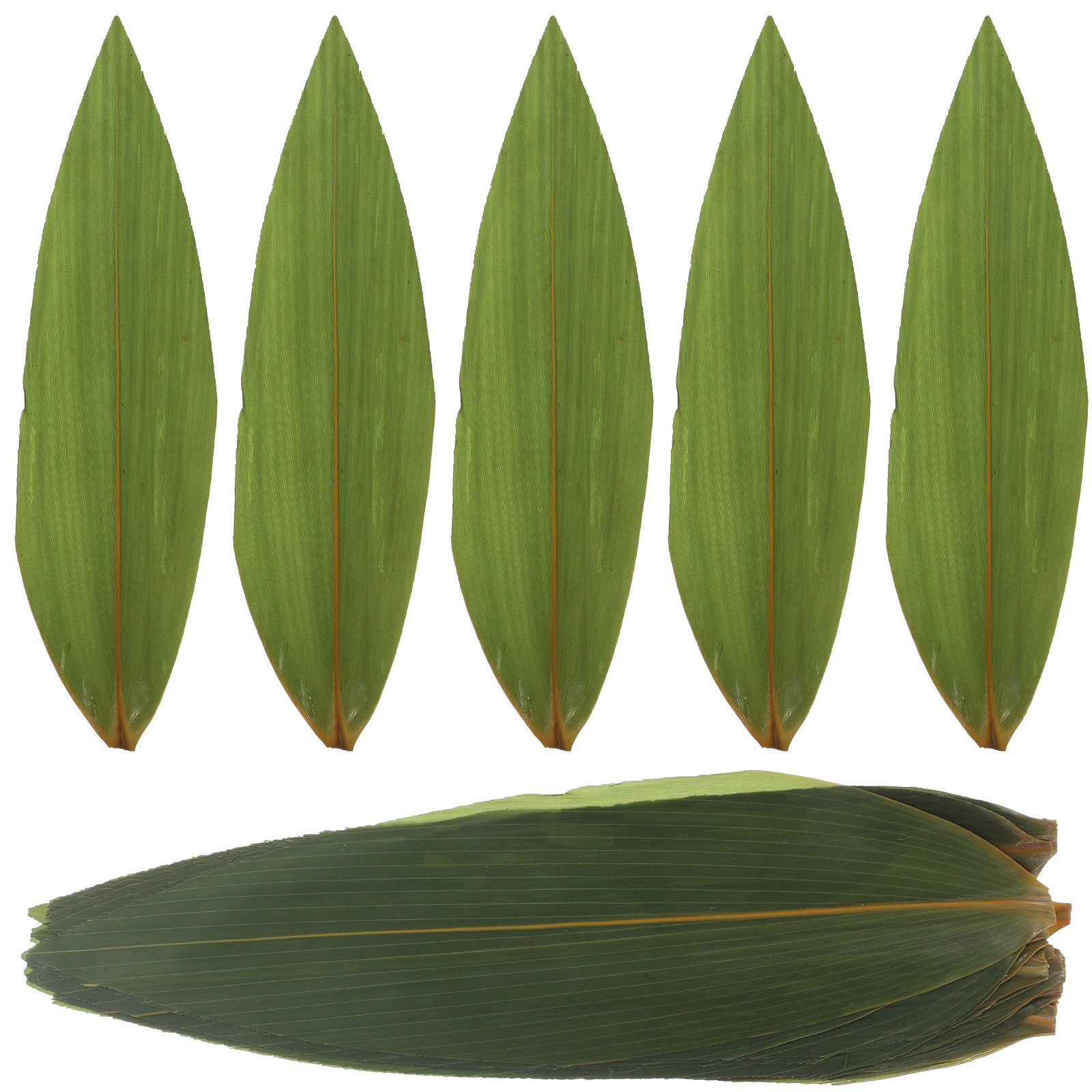 100pcs Sushi Bamboo Leaves Sas - Sushi Mat Bamboo avis et prix