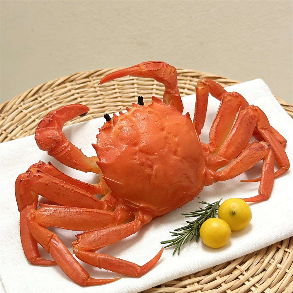 15cm Plastic Red Cooked Blue C - Home Cooking Shows avis et prix