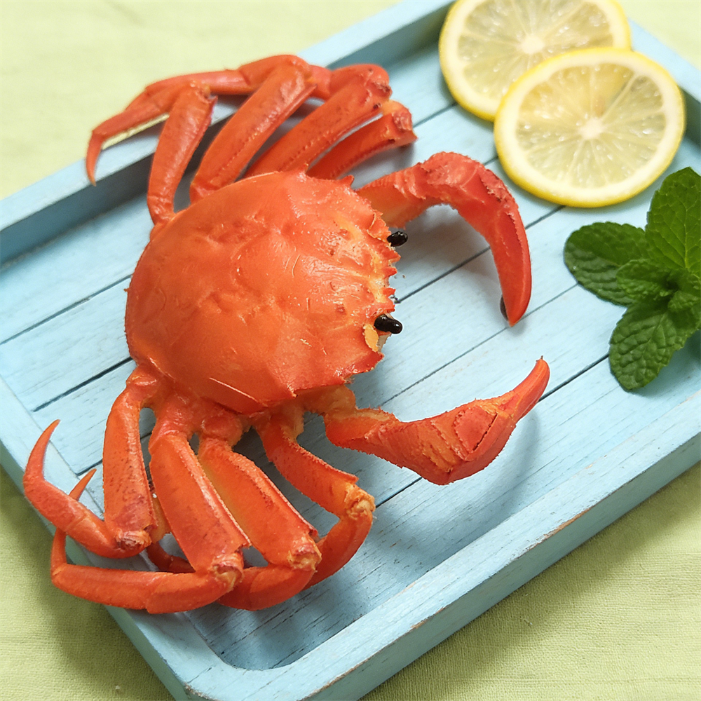 15cm Plastic Red Cooked Blue C - Home Cooking Shows avis et prix